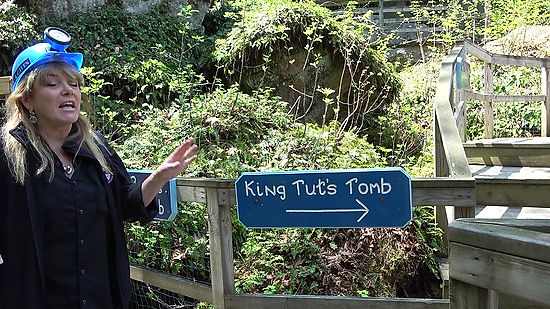 enter kings tuts tomb